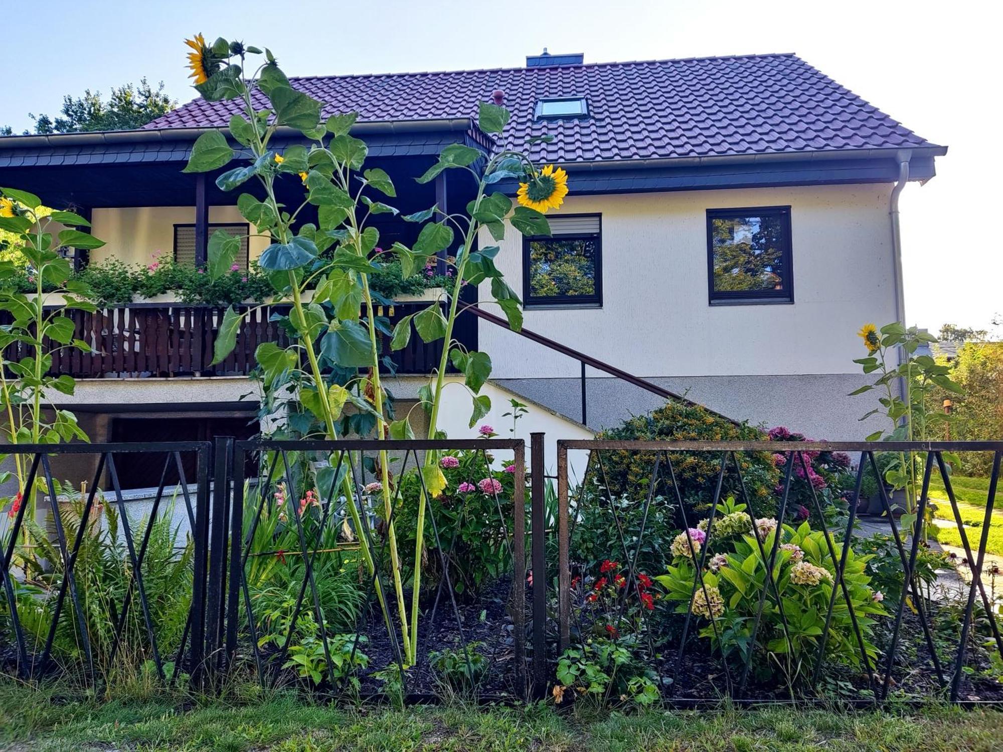 Waldhus Villa Ückeritz Eksteriør billede